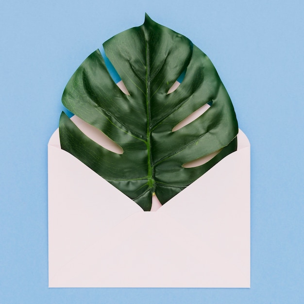 Wedding concept with palm leaf in envelope