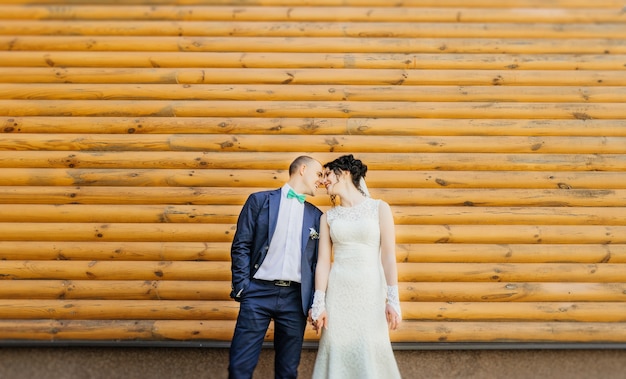 Free photo wedding couple. beautiful newlyweds couple posing against a wooden wall