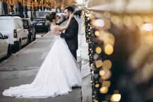 Free photo wedding couple in france