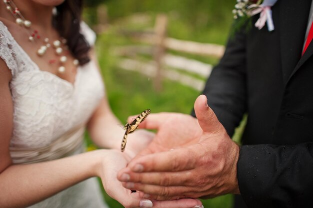 Wedding couple in hands butterfly