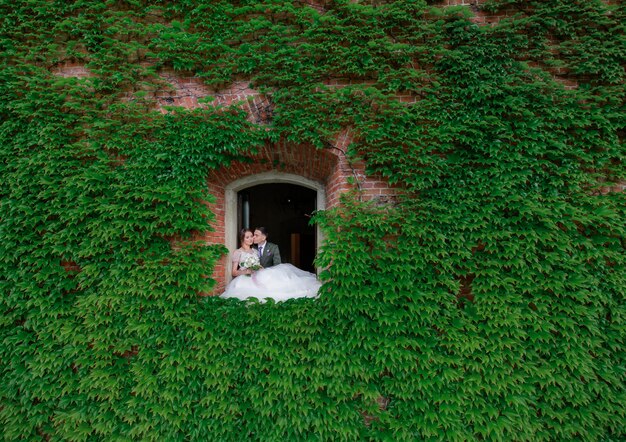 Wedding couple is kissing in the window hole of a wall covered with green leaves