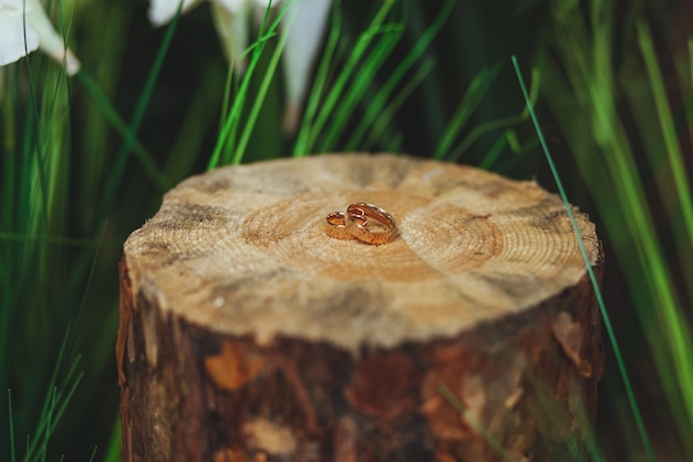 wedding golden rings on the stump in a green grass