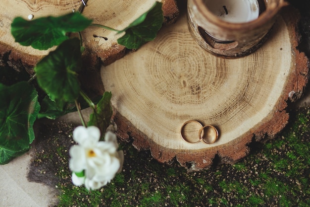 wedding golden rings on the stump in a green grass