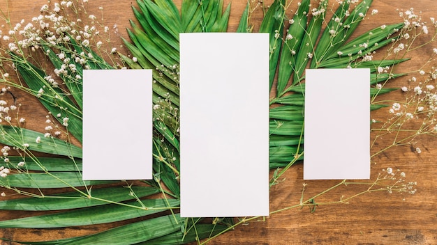 Wedding menu concept with leaves