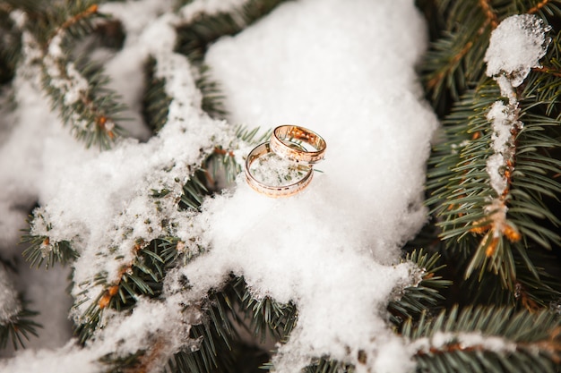 обручальные кольца крупным планом на снегу