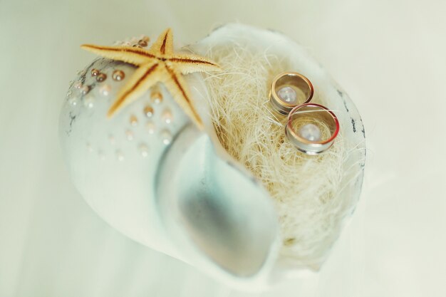 Wedding rings lie in a white cockleshell with little pearls