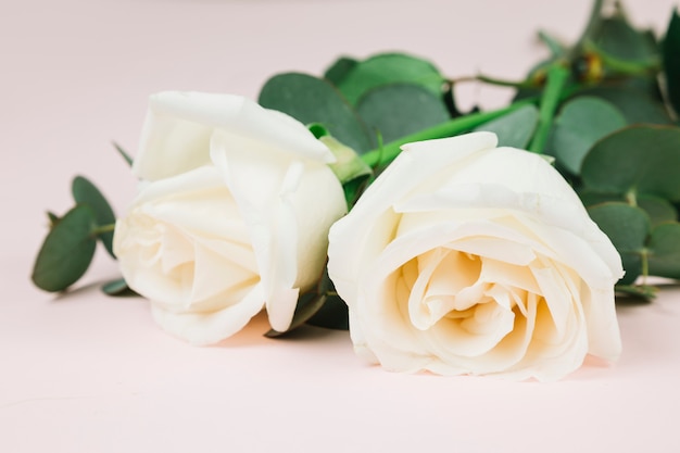 Свадебные белые розы