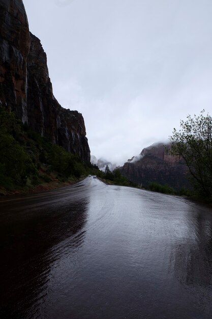 Wet countryside road