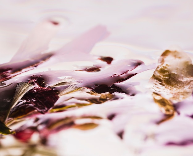 Free photo wet daisies close up