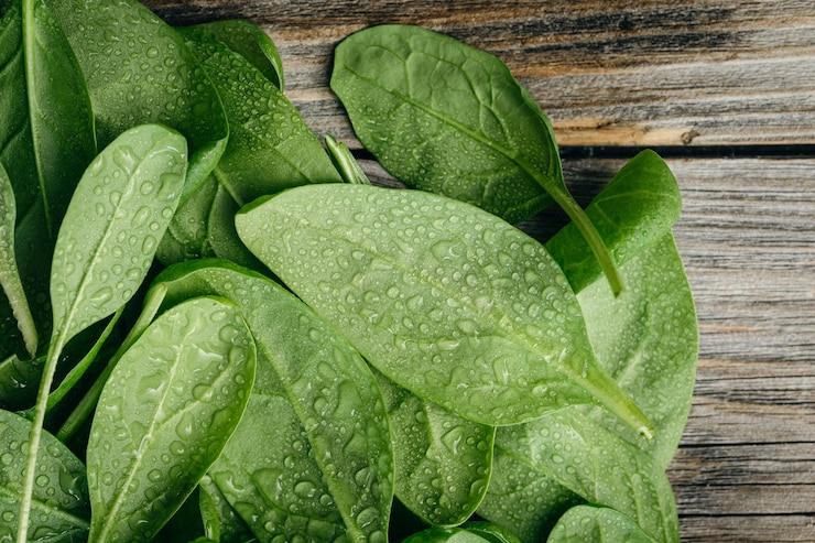 Free Photo wet fresh green baby spinach leaves on a wooden background