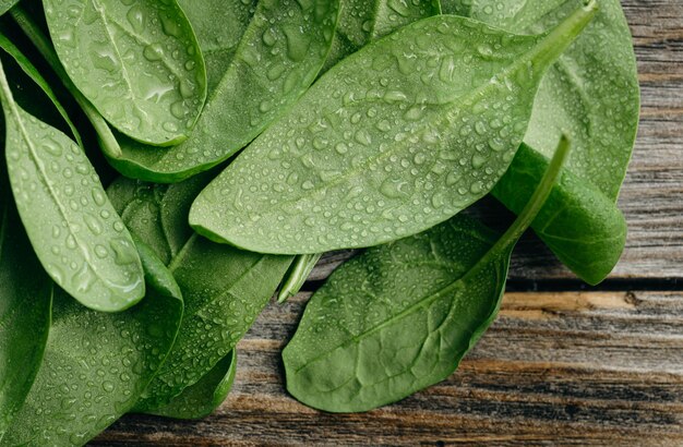 Wet fresh green baby spinach leaves on a wooden background