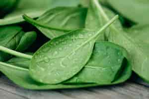 Free photo wet fresh green baby spinach leaves on a wooden background