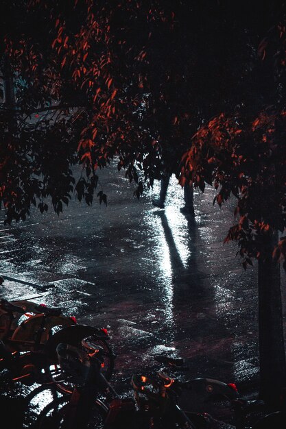 Wet pavement at night after rain