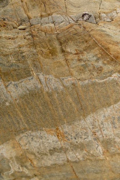 Wet stone near the river