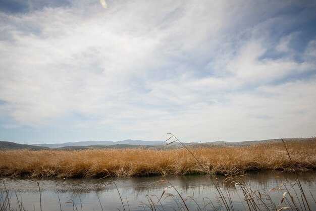 スペイン、アンダルシア、グラナダ、パドゥルのマンモス・ルートに沼地植生を持つ湿地