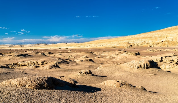 페루 오쿠카제 사막의 고래 화석 프리미엄 사진