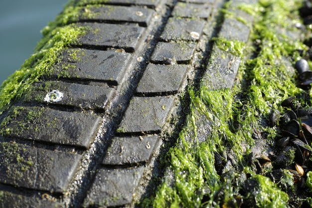 Wheel track in the mud