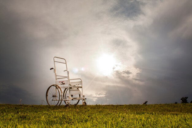 Wheelchair in the meadow