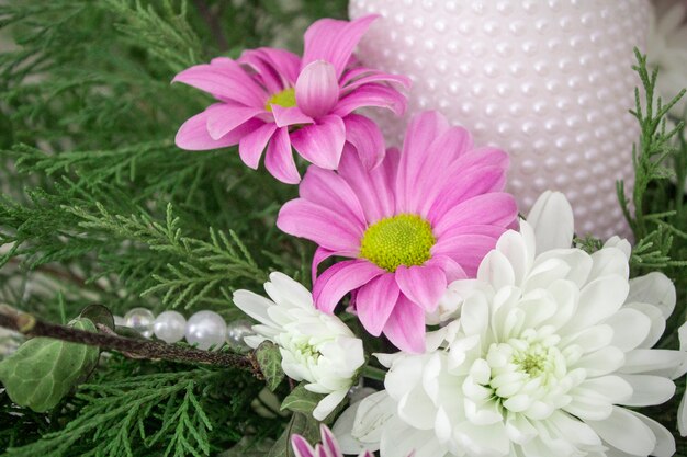Белые и розовые хризантемы с ветвями плюща и можжевельника. праздничная цветочная композиция. хризантемы и свеча