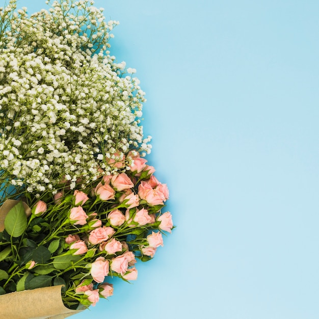무료 사진 파란색 배경에 흰색 아기의 호흡과 핑크 장미 꽃