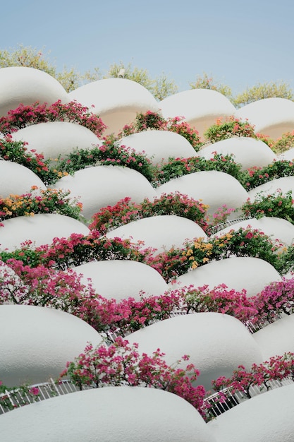 Free photo white balconies with flowers