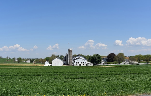 White barns and silos surrounded by lush green vegetation.
