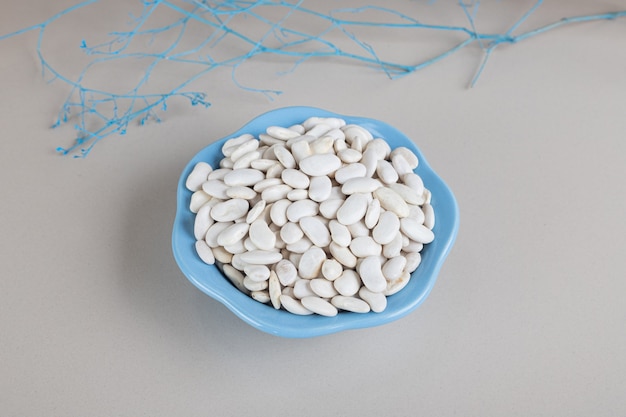 White beans inside a bowl on concrete.