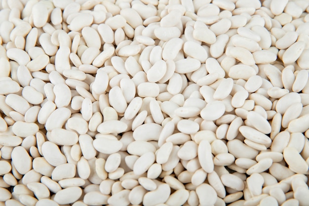 White beans texture background top view