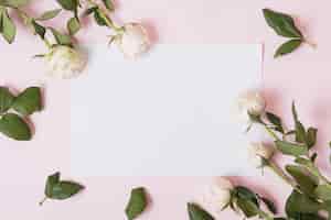 Бесплатное фото Белые красивые розы на белом фоне пустой бумаги на фоне розовый