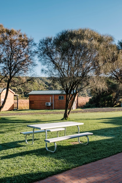 white bench in garden