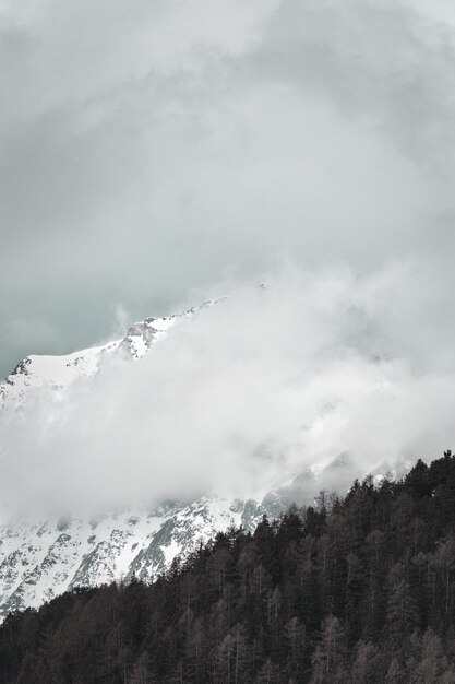 White and Black Mountain