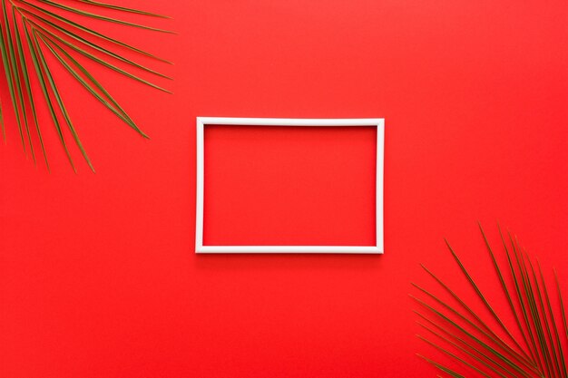 White border of frame and palm leaves on red surface