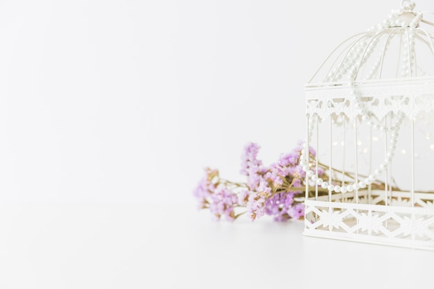 White cage and flowers
