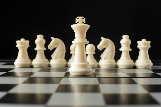 체스 보드에 흰색 체스 조각입니다. 킹 개념