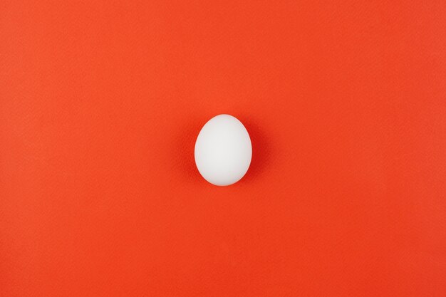 White chicken egg on red table