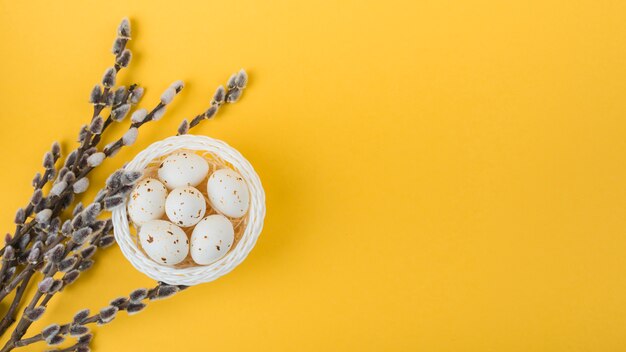 White chicken eggs in bowl with willow branches 