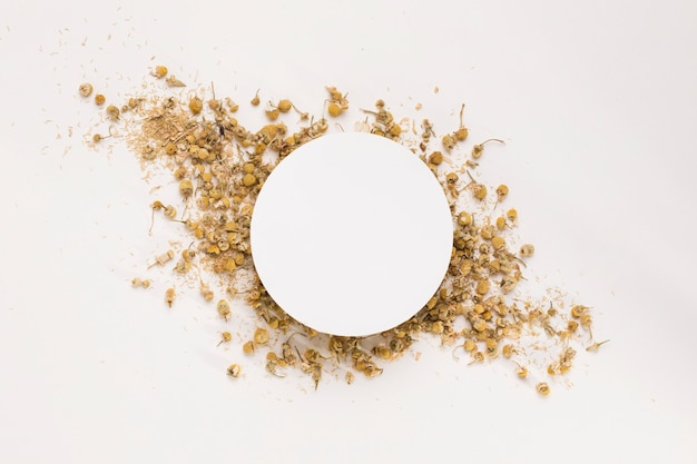 White circle surrounded by dried flowers