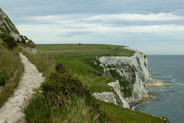 White Cliffs of Dover covered in greenery under a cloudy sky in the UK