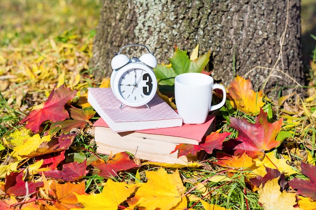 White clock and books over dry leaves