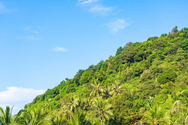 Free Photo white cloud on blue sky over mountain