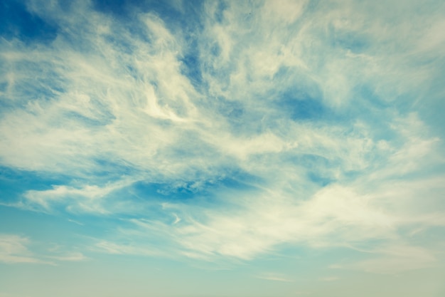 空を背景に白い雲