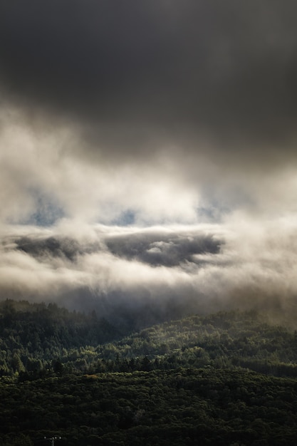 空の白い雲