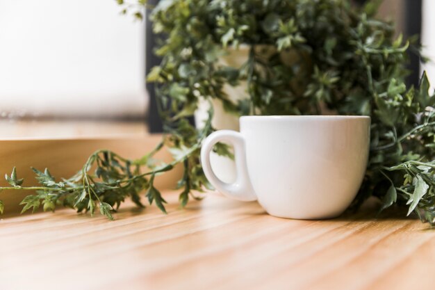 나무 테이블 위에 화분에 심는 식물을 가진 화이트 커피 컵