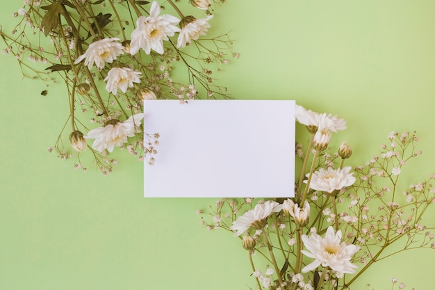 White daisy flowers with blank white paper over green background