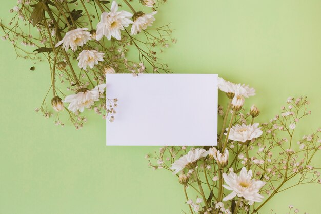 White daisy flowers with blank white paper over green background