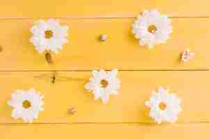 Free photo white daisy flowers on yellow wooden plank