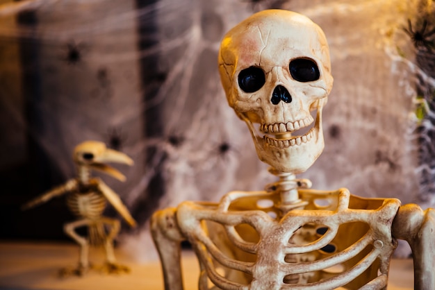 Free photo white decorative skeleton in studio