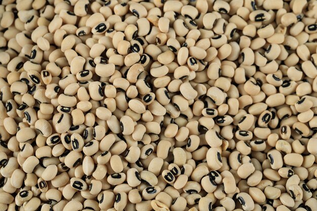 White dry beans spread over the table