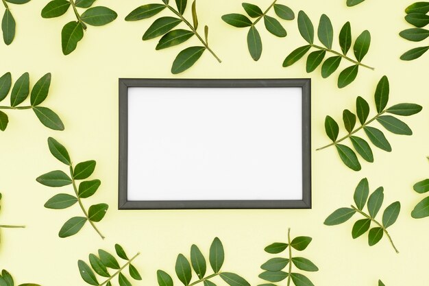 White empty picture frame surrounded by leaves twig on yellow background