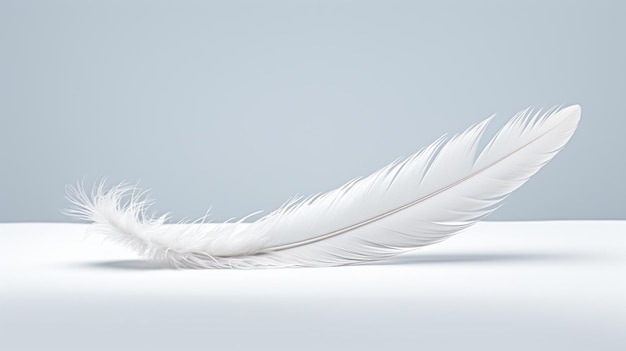 Free photo a white feather on a neutral surface